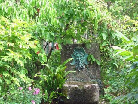 Visite du jardin botanique de la Petite Rochelle Visite du jardin botanique de la Petite Rochelle