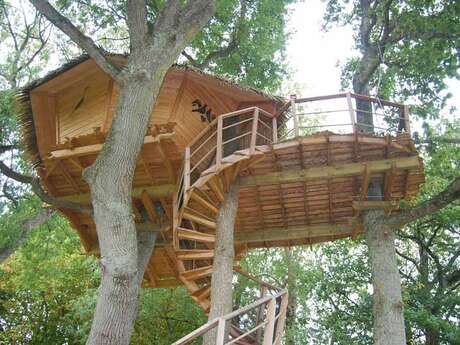 Cabanes dans les arbres Cabanes dans les arbres