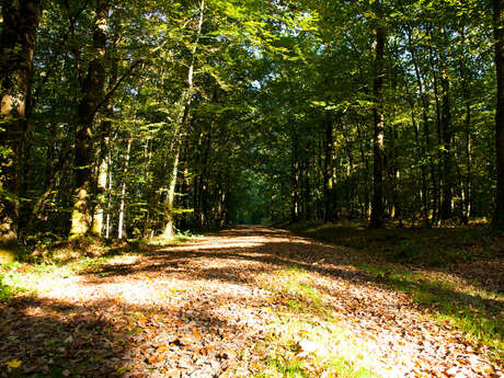 CIRCUIT ÉQUESTRE DE PARIGNE-LE-POLIN CIRCUIT ÉQUESTRE DE PARIGNE-LE-POLIN