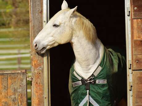 HALTE EQUESTRE DU SITE DU GUÉ DE SELLE HALTE EQUESTRE DU SITE DU GUÉ DE SELLE