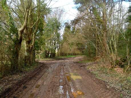 Le Bois de Mille - Départ : Meulles Le Bois de Mille - Départ : Meulles