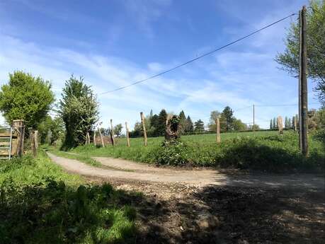 Une vallée poissonneuse - Départ : Notre-Dame-de-Courson Une vallée poissonneuse - Départ : Notre-Dame-de-Courson