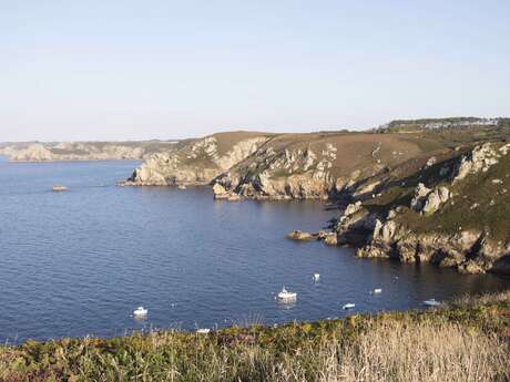 Visite découverte en covoiturage "Le tour du Cap" Visite découverte en covoiturage "Le tour du Cap"