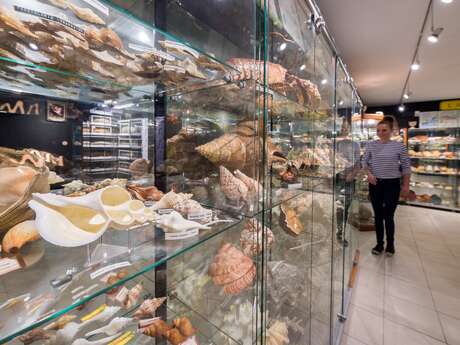 Musée de l'Amiral Musée de l'Amiral