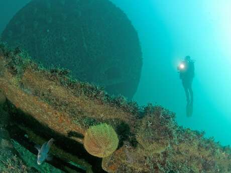 Les Plongeurs du Cap Les Plongeurs du Cap