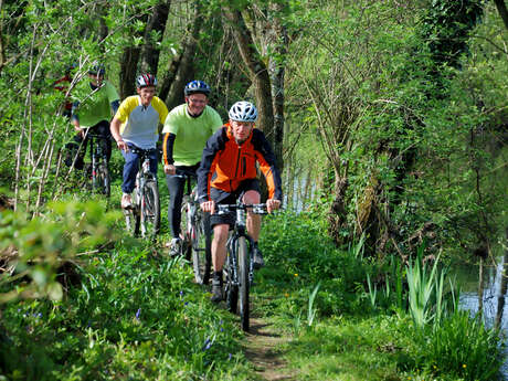 Base VTT des Landes de Lanvaux Base VTT des Landes de Lanvaux