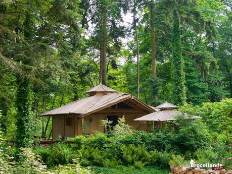Cabane Bambou Cabane Bambou