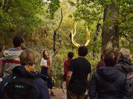 Balade contée: Il était une fois Brocéliande Balade contée: Il était une fois Brocéliande