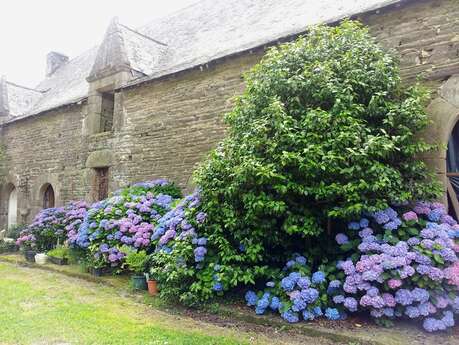Manoir de Boyac Manoir de Boyac