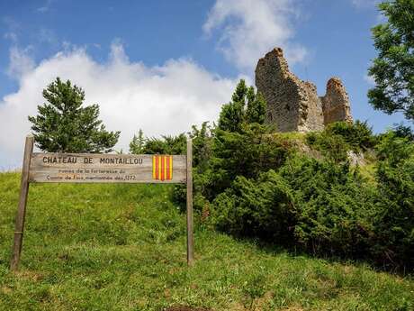 Castillo de Montaillou Castillo de Montaillou