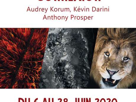 Connexion - Audrey Korum, Kévin Darini et Anthony Prosper Connexion - Audrey Korum, Kévin Darini et Anthony Prosper