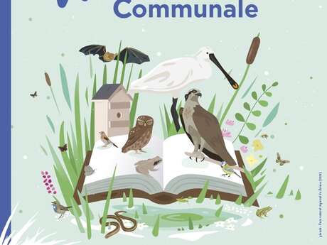 Autour des oiseaux de chez nous Autour des oiseaux de chez nous