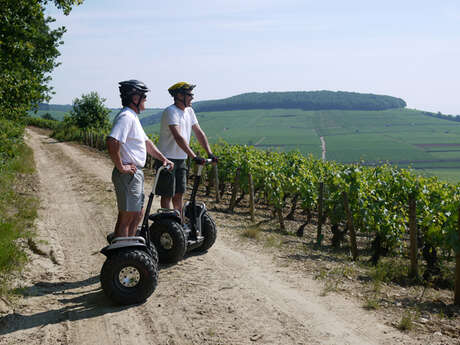 New Motion (Mobilboard Beaune-Dijon) New Motion (Mobilboard Beaune-Dijon)