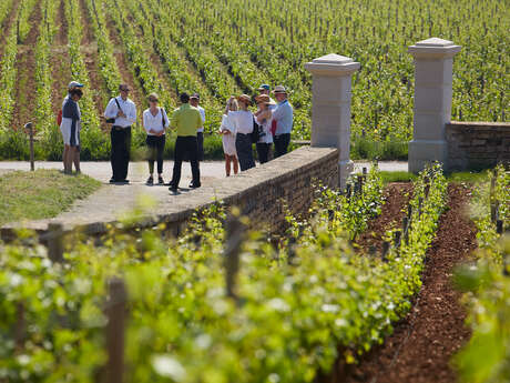 Visites de Vignes et Visites de caves - Olivier Leflaive Visites de Vignes et Visites de caves - Olivier Leflaive