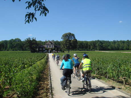 Bourgogne Vélo Evasion Bourgogne Vélo Evasion
