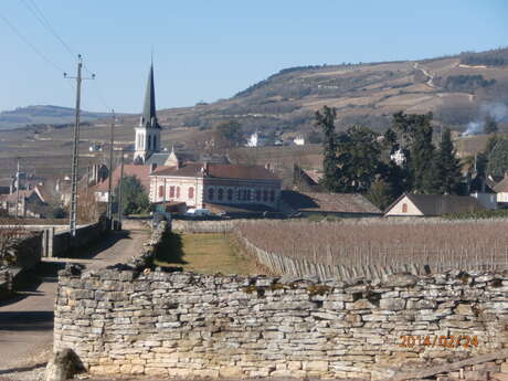 Domaine Bourgogne Moniot Domaine Bourgogne Moniot