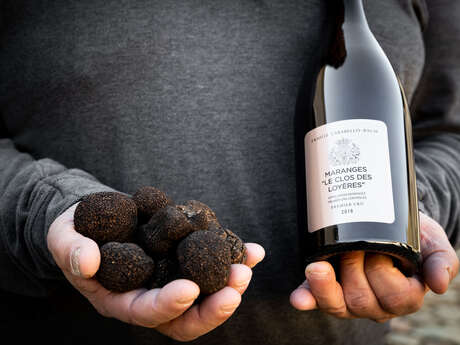 Expérience Autour de la truffe Expérience Autour de la truffe