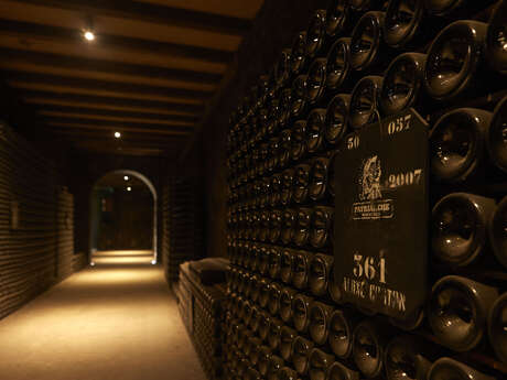 Visite révélations : initiation aux vins de Bourgogne et dégustation dans les caves Patriarche Visite révélations : initiation aux vins de Bourgogne et dégustation dans les caves Patriarche