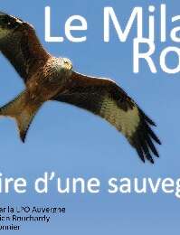 Projection du Film Documentaire « Le milan royal, histoire d’une sauvegarde" Projection du Film Documentaire « Le milan royal, histoire d’une sauvegarde"