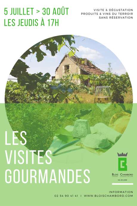 Visite gourmande : vignoble Tévenot Visite gourmande : vignoble Tévenot