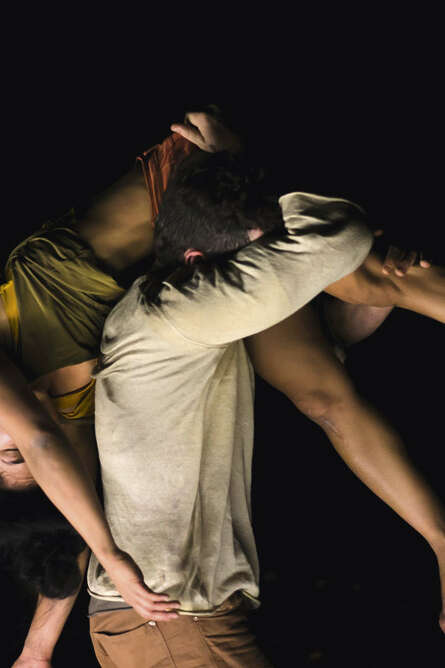Cirque et danse : Phasmes Cirque et danse : Phasmes