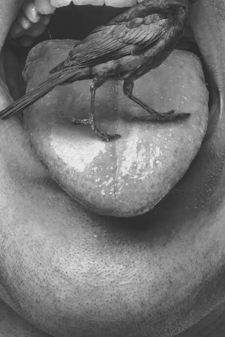 A cor et à cri! Semaine de la Voix A cor et à cri! Semaine de la Voix