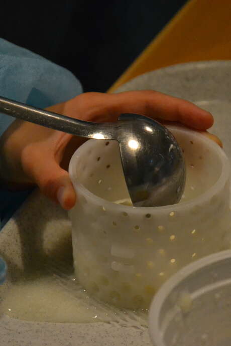 Animation "Apprenti Fromager"