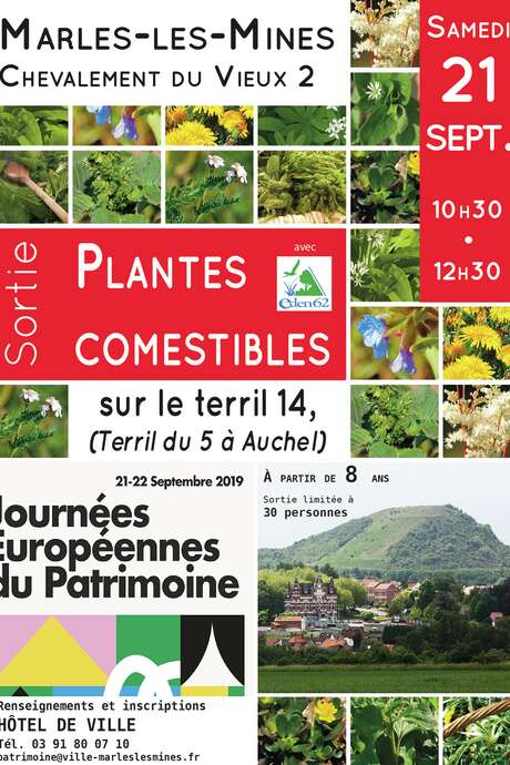 Sortie "Plantes comestibles" Sortie "Plantes comestibles"