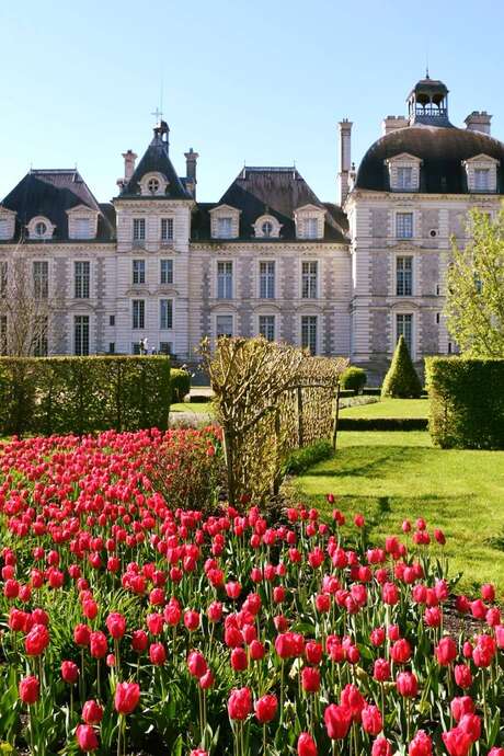 Jardin de tulipes Jardin de tulipes