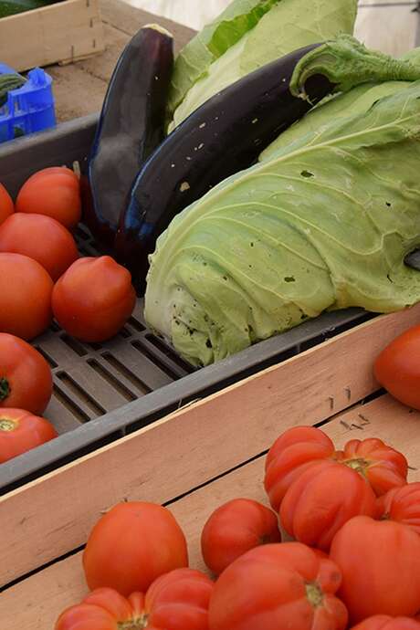 Marché de Moncoutant sur Sèvre Marché de Moncoutant sur Sèvre