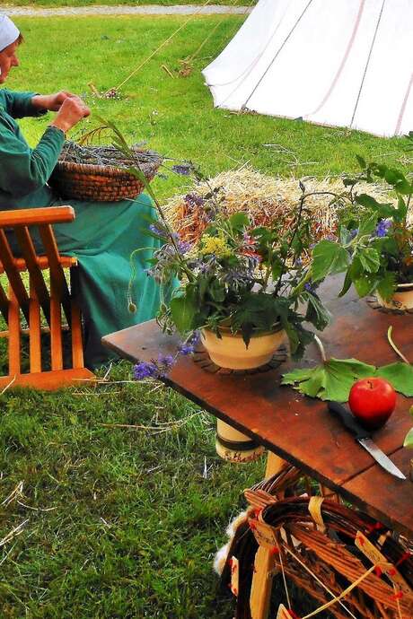 Saveurs épicées - Plantes et épices Saveurs épicées - Plantes et épices