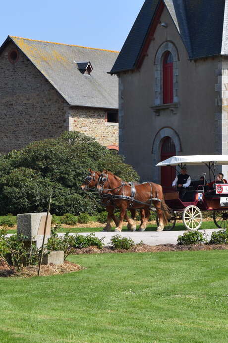 Visite découverte et balade en calèche - ANNULÉ Visite découverte et balade en calèche - ANNULÉ