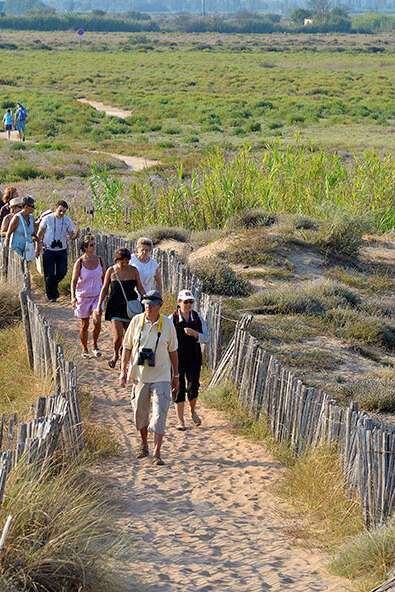 BALADE CONTÉE AUX ORPELLIÈRES BALADE CONTÉE AUX ORPELLIÈRES