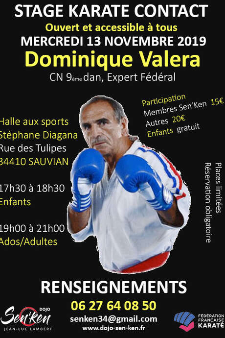 STAGE DE KARATÉ PAR DOMINIQUE VALERA STAGE DE KARATÉ PAR DOMINIQUE VALERA