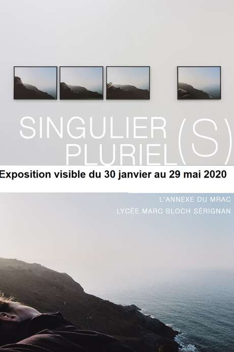 ETABLISSEMENT FERMÉ JUSQU'À NOUVEL ORDRE - EXPOSITION "SINGULIER(S) PLURIEL(S)" ETABLISSEMENT FERMÉ JUSQU'À NOUVEL ORDRE - EXPOSITION "SINGULIER(S) PLURIEL(S)"