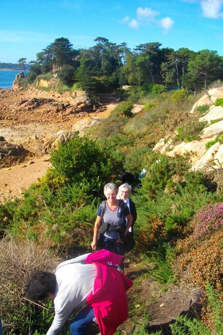 Sortie botanique à l'Ile Besnard et aux dunes des Chevrets Sortie botanique à l'Ile Besnard et aux dunes des Chevrets