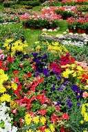 Les Floralies et Vide-Greniers Les Floralies et Vide-Greniers
