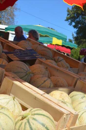 Traditionnelle Foire Champêtre aux Ânes et aux Melons du Dégagnazès Traditionnelle Foire Champêtre aux Ânes et aux Melons du Dégagnazès