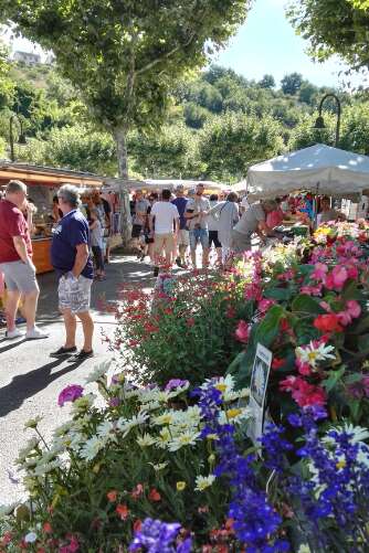 Marché à Puy-l'Evêque Marché à Puy-l'Evêque