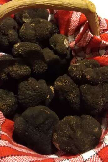 Marché aux truffes de Capdenac Marché aux truffes de Capdenac