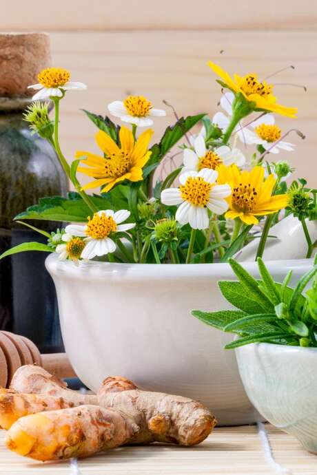 LA SANTÉ AU NATUREL LA SANTÉ AU NATUREL