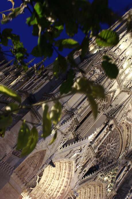 Son et lumière de la Cathédrale de Reims Son et lumière de la Cathédrale de Reims