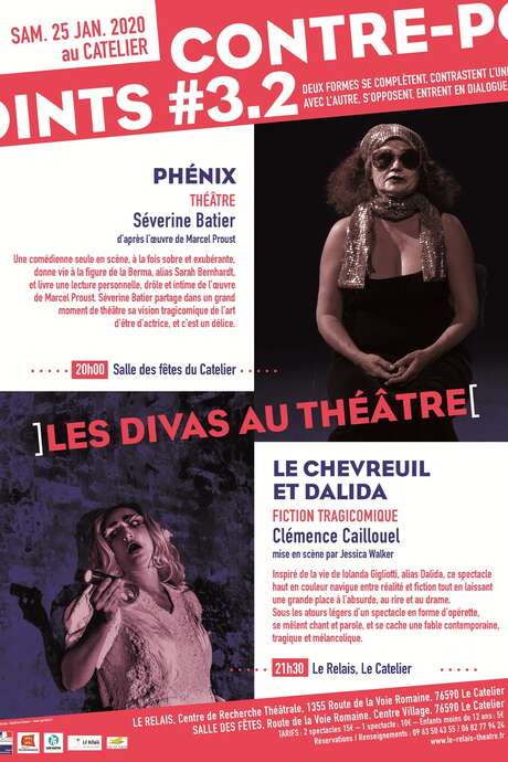 Le chevreuil et Dalida, fiction tragicomique Le chevreuil et Dalida, fiction tragicomique
