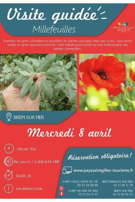 VISITE GUIDÉE "MILLEFEUILLES" BREM VISITE GUIDÉE "MILLEFEUILLES" BREM