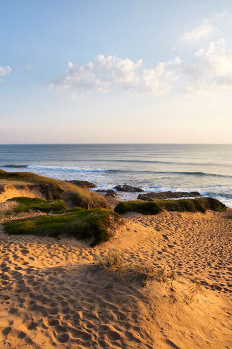 VISITE GUIDÉE "LA DUNE...ENTRE TERRE ET MER" VISITE GUIDÉE "LA DUNE...ENTRE TERRE ET MER"
