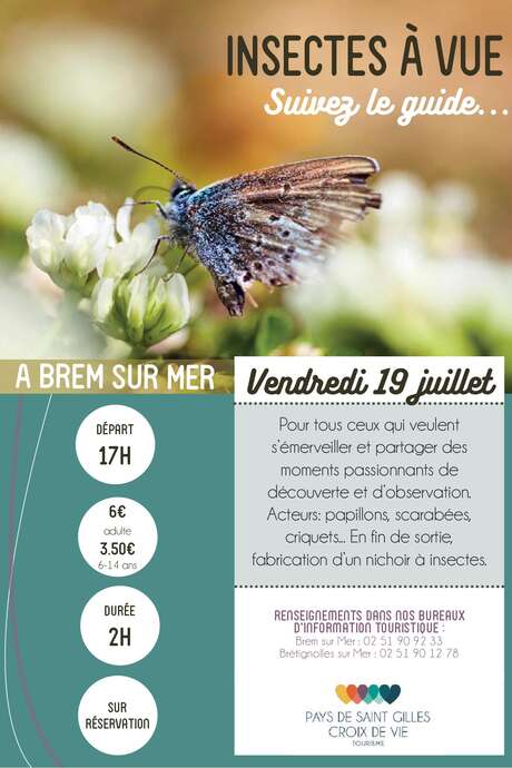VISITE GUIDÉE "INSECTES A VUE" VISITE GUIDÉE "INSECTES A VUE"