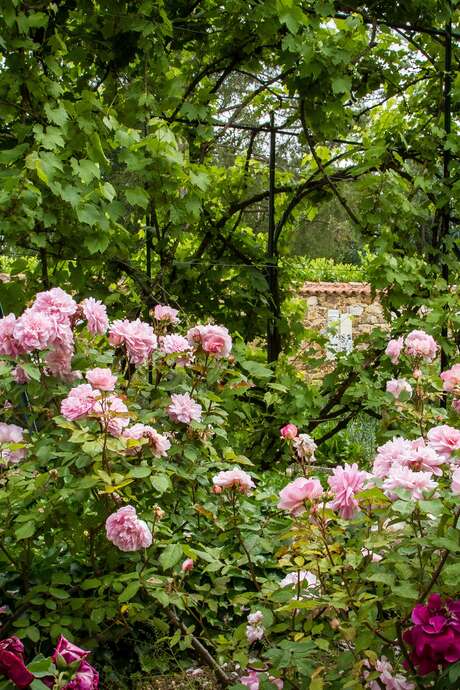 LA VENDÉE DES JARDINS LA VENDÉE DES JARDINS