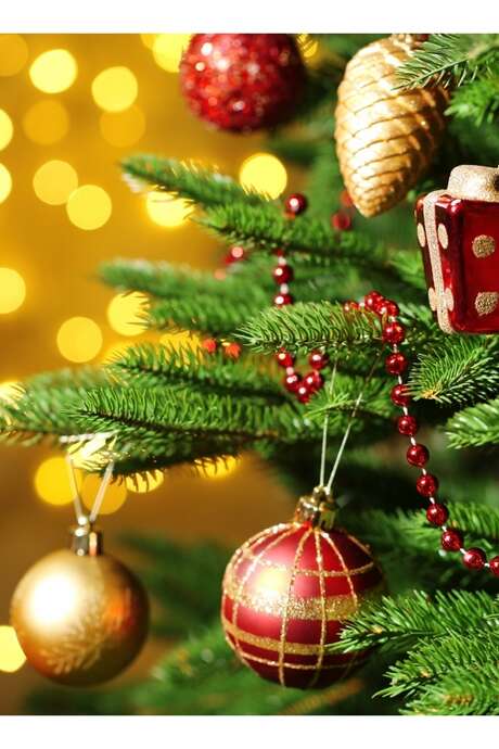 MARCHE DE NOEL MARCHE DE NOEL