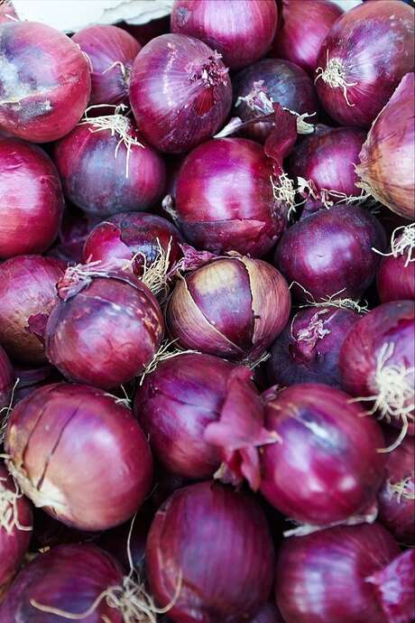 MARCHÉ - ANNULÉ MARCHÉ - ANNULÉ