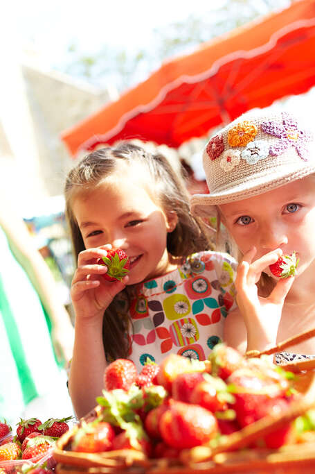 LE MARCHE DU VENDREDI LE MARCHE DU VENDREDI